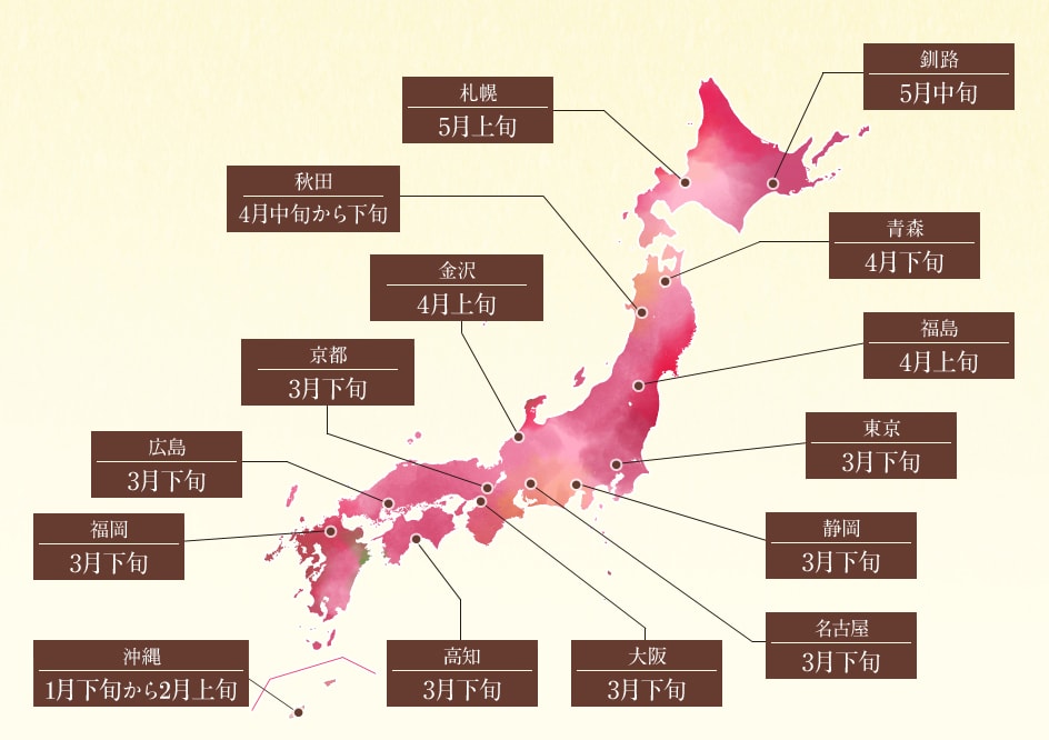 例年の桜開花時期