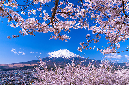 富士山