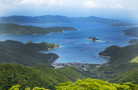 島旅
