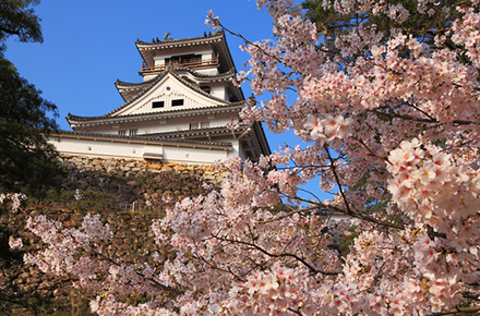 城
