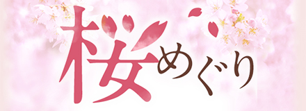 桜めぐり特集