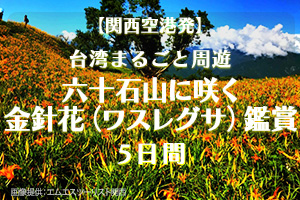 関西発金針花台湾