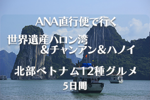 ANAハロン湾
