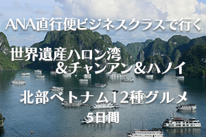 ANAビジネスクラスハロン湾