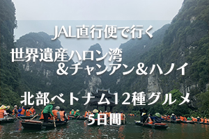 JALハロン湾