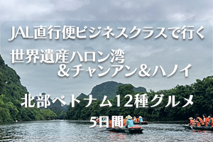 JALビジネスクラスハロン湾