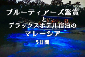 マレーシア