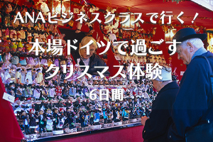ビジネスクリスマスマーケット