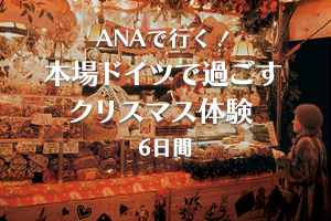 クリスマスマーケット