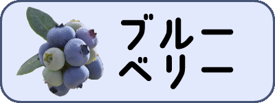 ブルーベリー