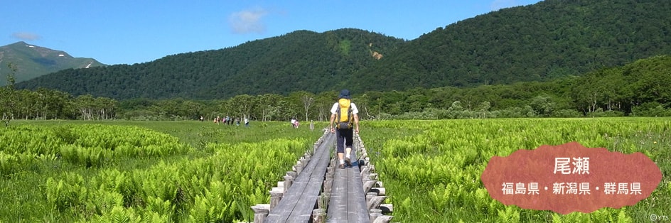 尾瀬 福島県・新潟県・群馬県