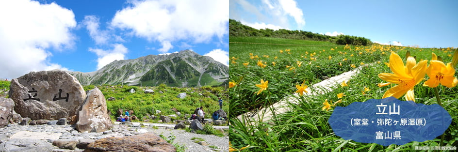 立山（室堂・弥陀ヶ原湿原）富山県