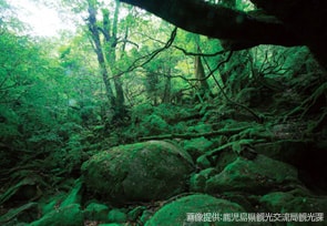 鹿児島県