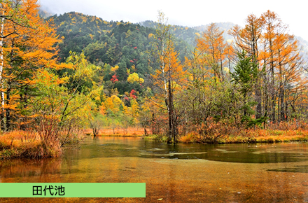 田代池