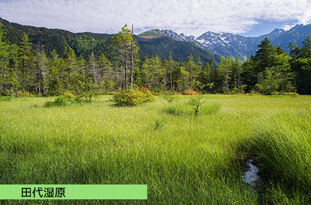 田代湿原
