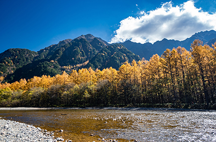 上高地バスターミナル