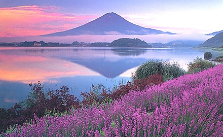 富士山について