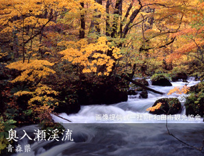 奥入瀬渓流 青森県