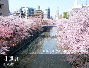 目黒川 東京都