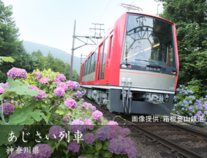 あじさい列車 神奈川県