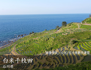 白米千枚田 石川県