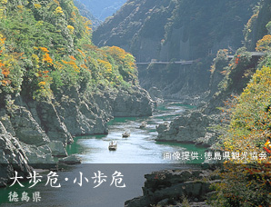 大歩危・小歩危 徳島県