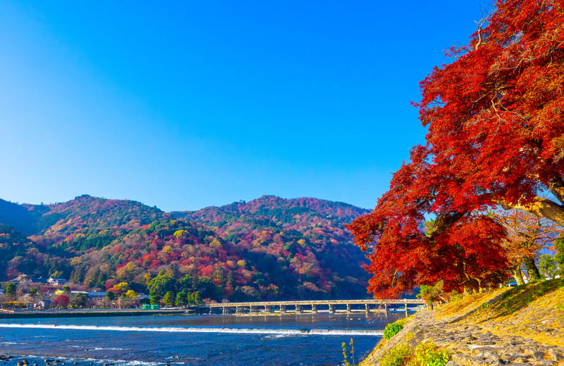 京都嵐山