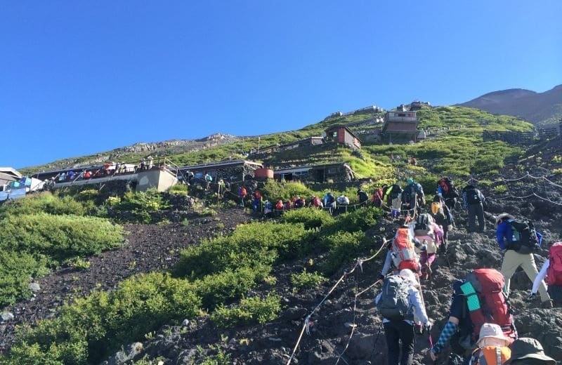 多くの登山客が山頂を目指す