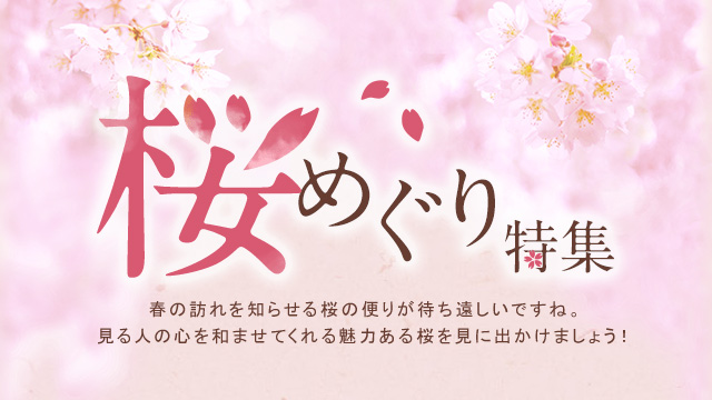 桜めぐり特集