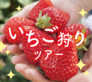 いちご狩り