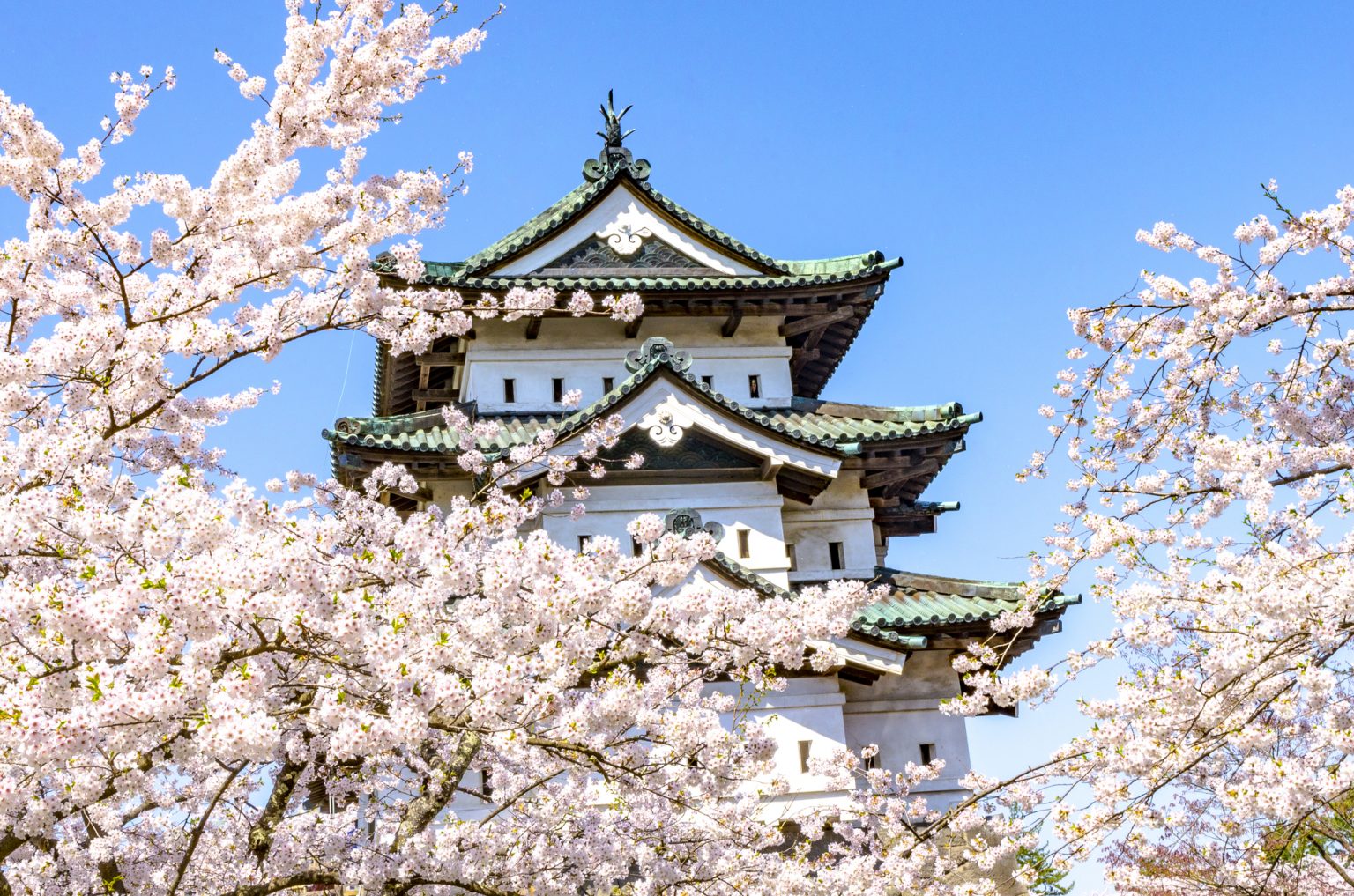 東北6県のおすすめ観光地を各県ごとにご紹介します！ - 読売旅行 - 国内旅行・海外旅行・クルーズ・バスツアー・ダイナミックパッケージ 旅の予約サイト