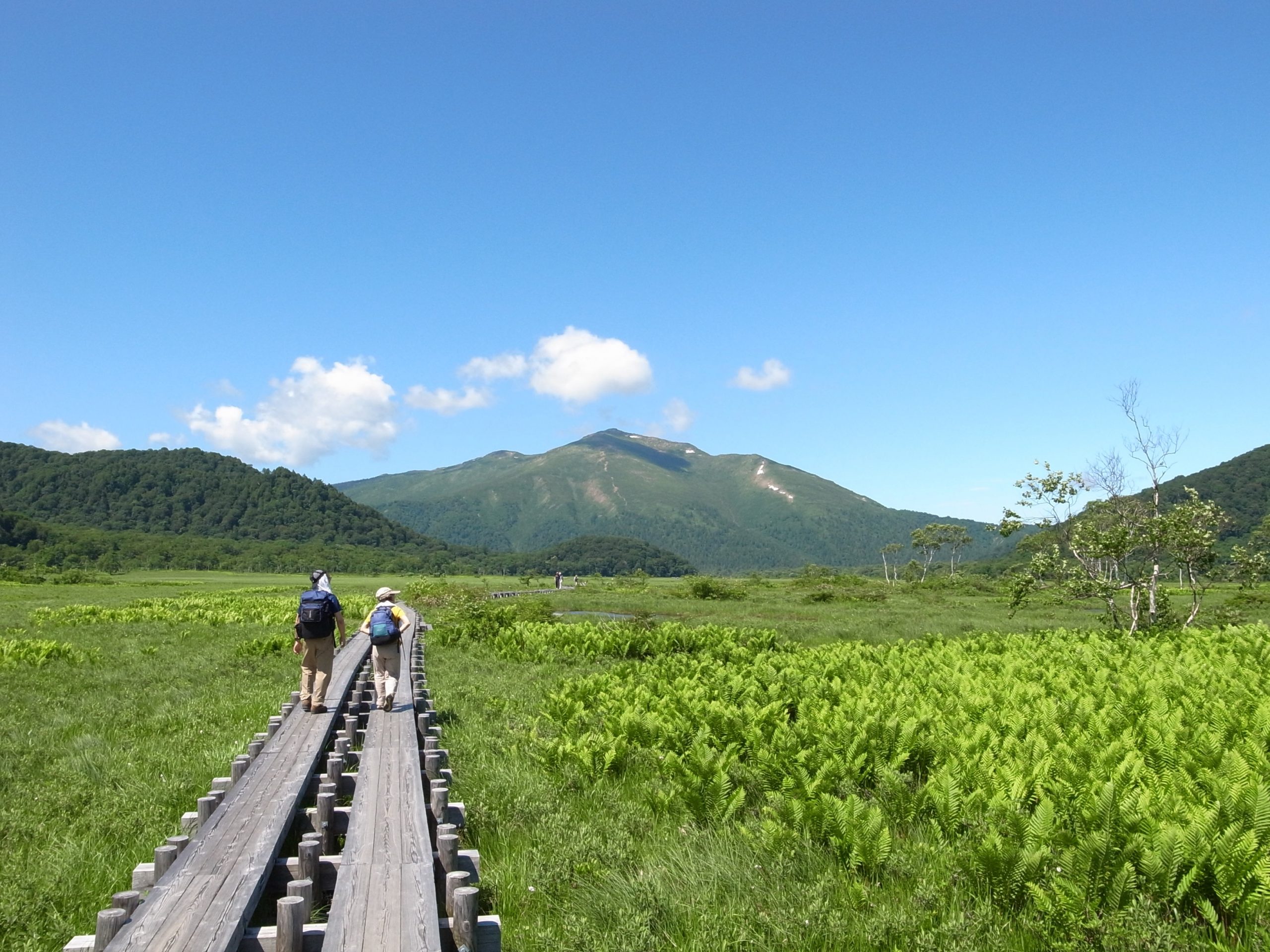 日本最大の高層湿原、国際的にも重要な湿原・ 尾瀬の見どころ4選とおすすめの温泉 - 読売旅行 - 国内旅行・海外旅行・クルーズ・バスツアー ...