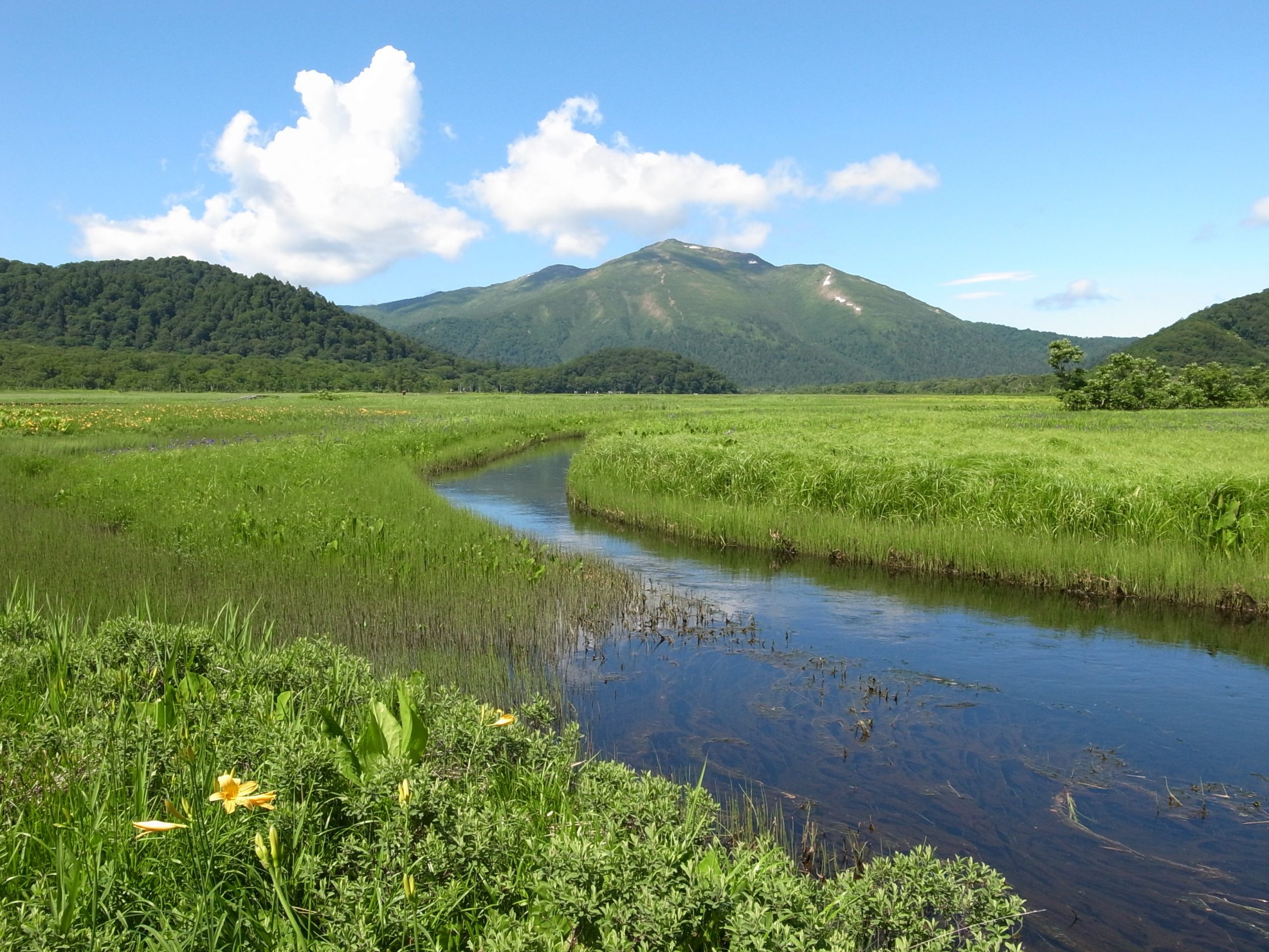 日本最大の高層湿原、国際的にも重要な湿原・ 尾瀬の見どころ4選とおすすめの温泉 - 読売旅行 - 国内旅行・海外旅行・クルーズ・バスツアー ...