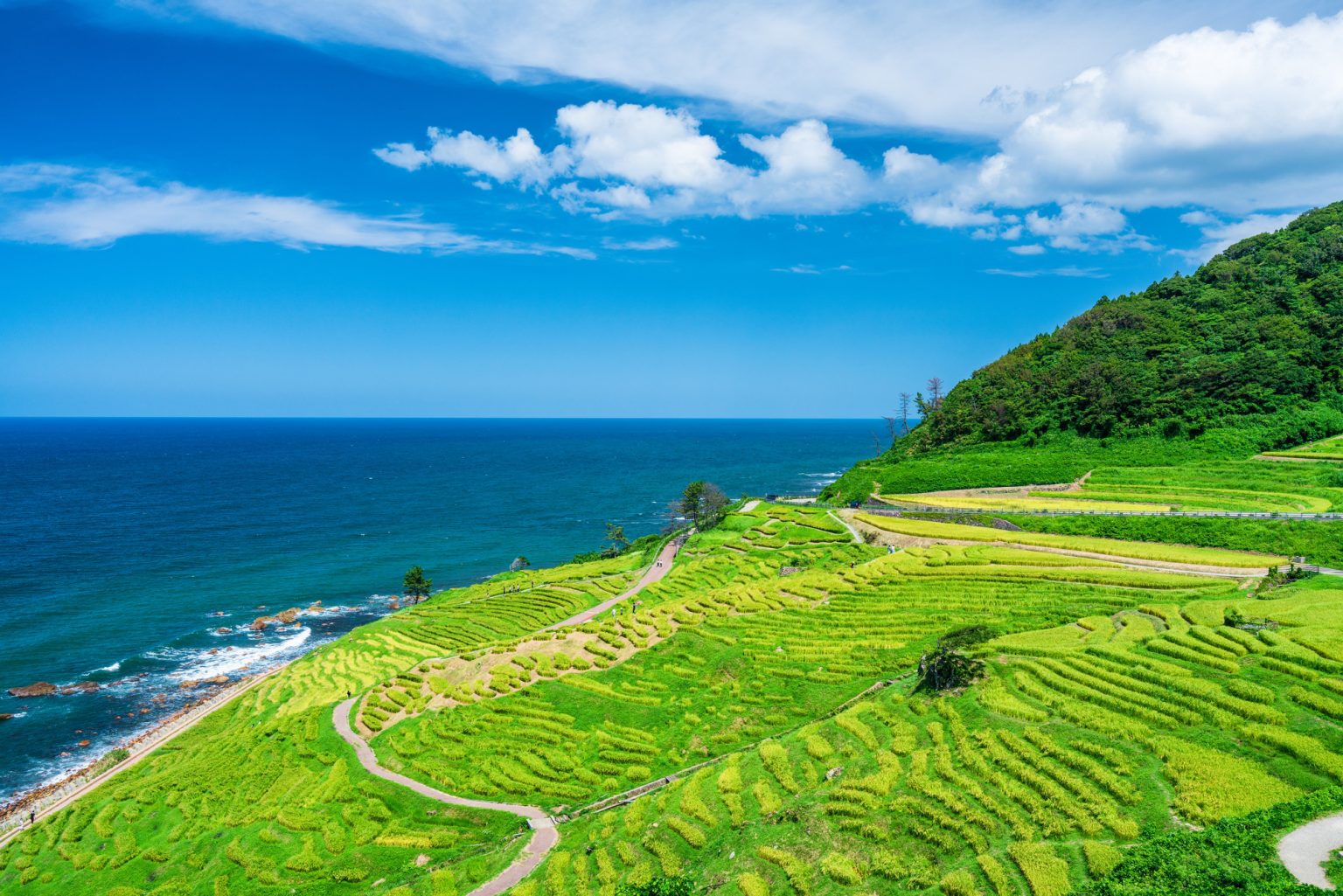 石川県のおすすめ観光スポット20選！ 文化・食・自然の満喫旅 - 読売旅行 - 国内旅行・海外旅行・クルーズ・バスツアー・ダイナミック ...