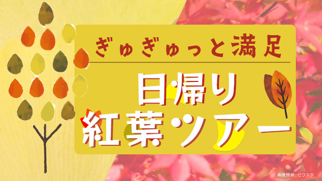 日帰り紅葉特集