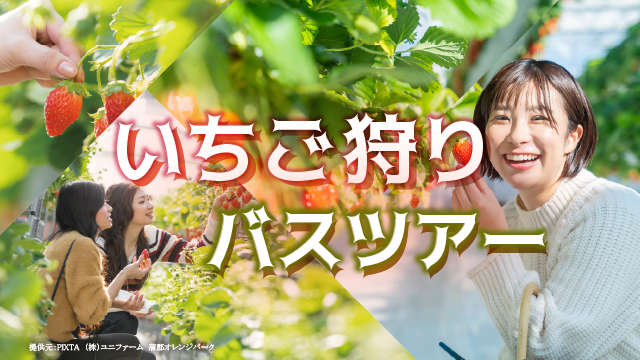 いちご狩り日帰り