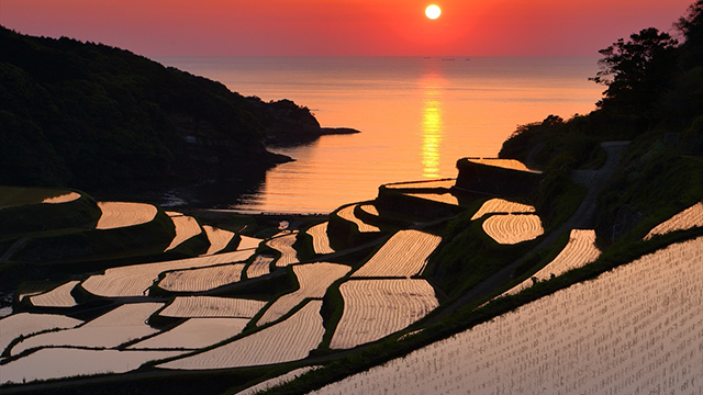 浜野浦の棚田（佐賀）