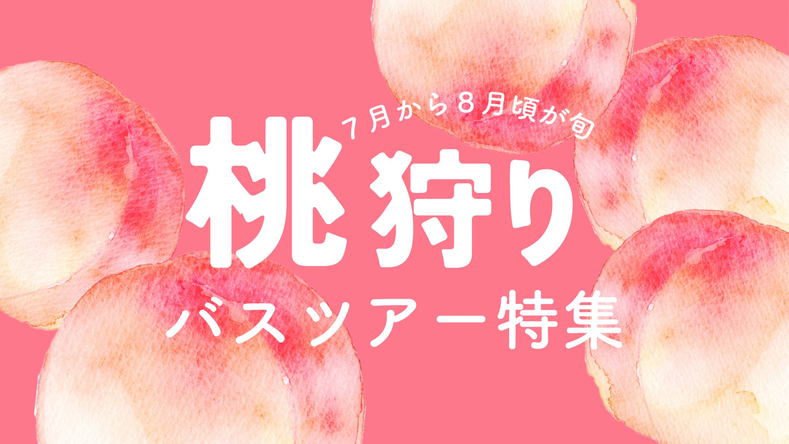 桃狩りバスツアー