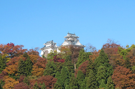 越前大野城（福井県）