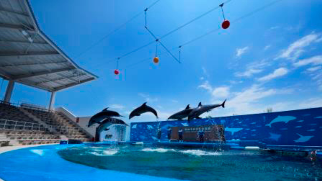 仙台うみの杜水族館