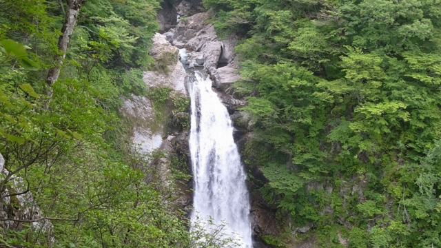 秋保大滝