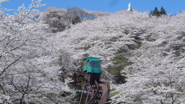 船岡城址公園